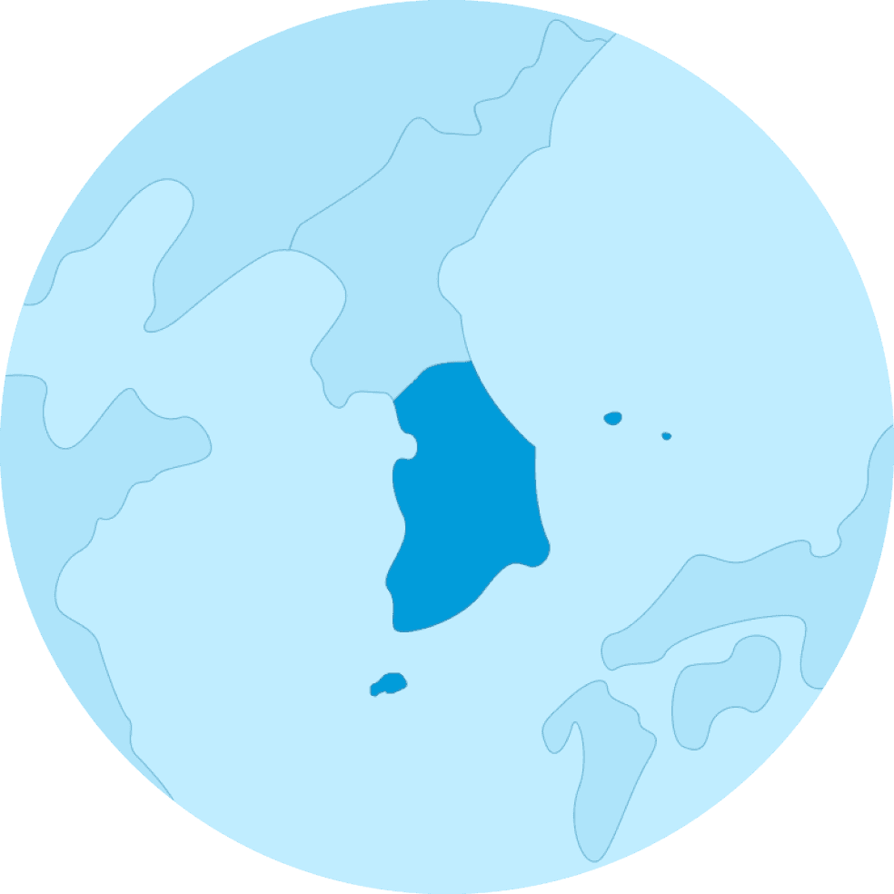 국내사업
